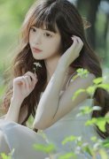 杨思梅金梅电视剧剧情引见 - 杨思梅金梅电视剧